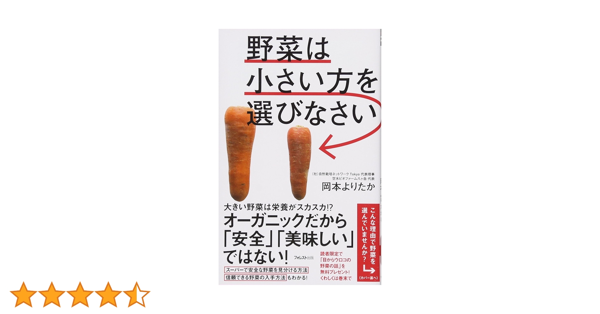 お野菜〜プロフをご覧下さい〜 プロにおまかせ 筑前のお野菜ボックス6～10種類【お野菜の